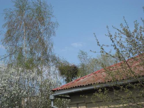 Hostal Tsarikova House