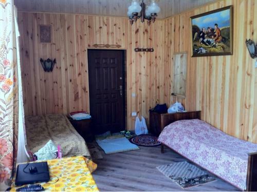 Hostal Tsarikova House