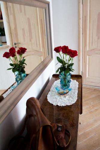Apartment Lida Castle