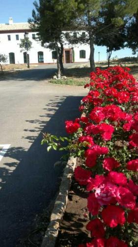 Camping Pueblo Blanco
