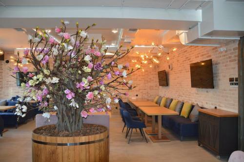 Hotel Alesya