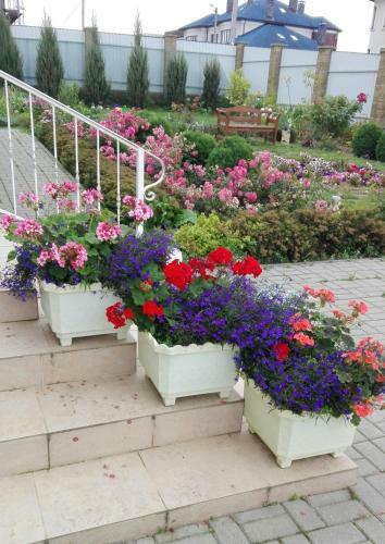 Guesthouse Nature
