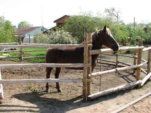 Hostal Usadba Mirski Padvorak