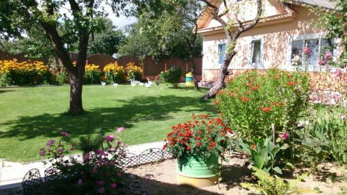 Hostal Guest House