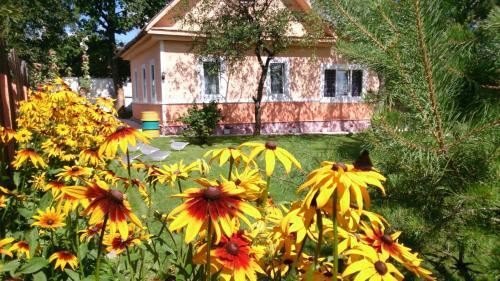 Hostal Guest House