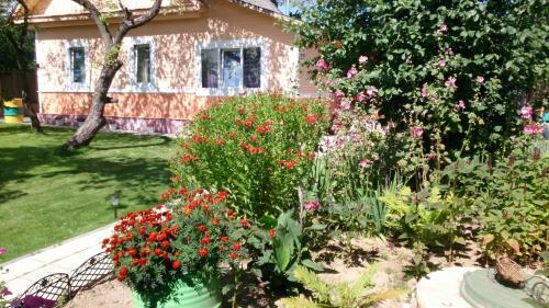 Hostal Guest House