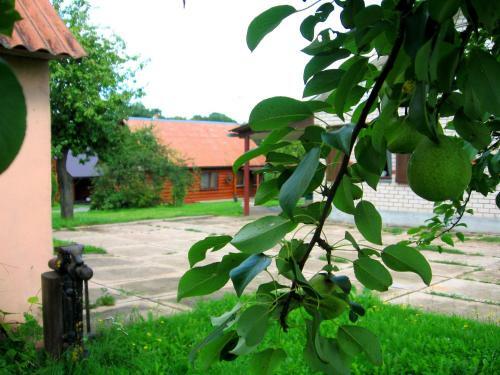 Agroturismo Usadba 4 Seasons