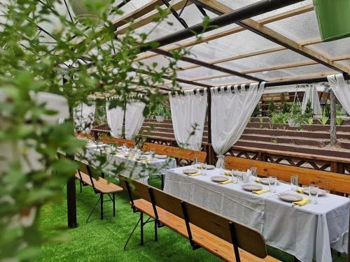 Hotel White Bereg