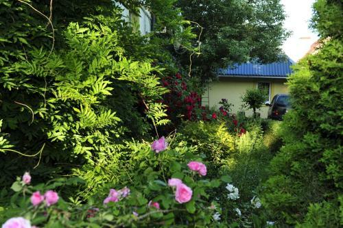 Hostal Usadba Paulinka