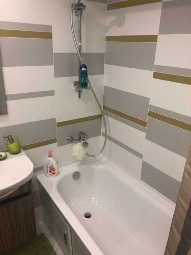 Teva Apartment 1