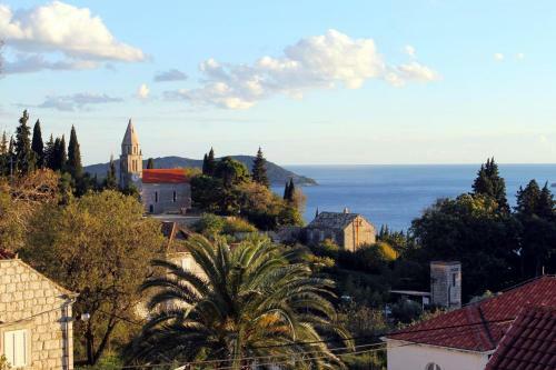 Apartments With Wifi Trsteno (dubrovnik) - 8738