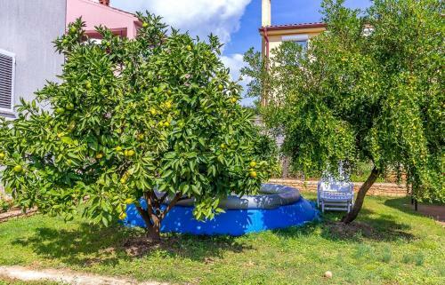 Apartment Branka
