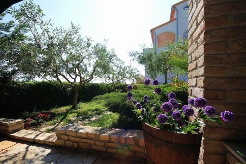Apartments Gea