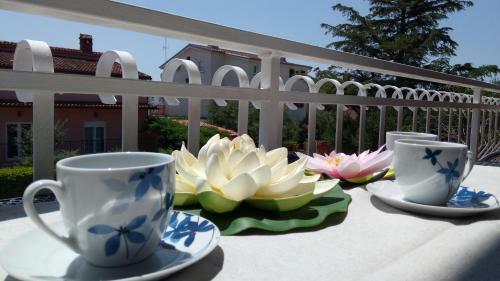Villa Leona