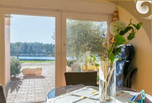 Apartamentos Irena Burle