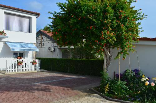 Apartments Snezana