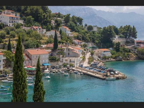 Apartments Davor