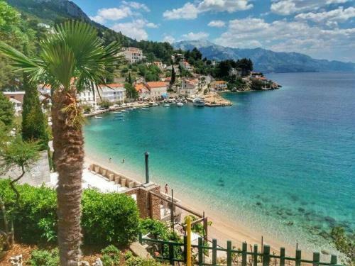Apartments Davor