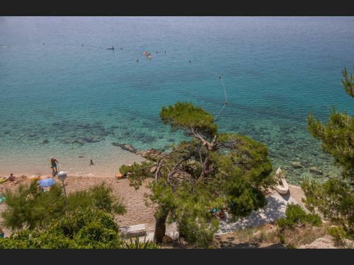 Apartments Davor