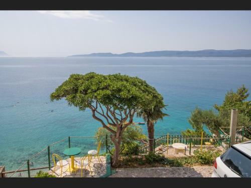 Apartments Davor