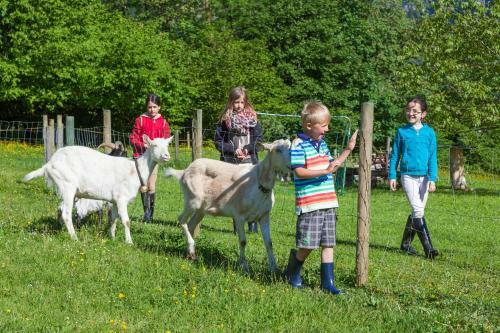 Agroturismo G�stehaus Ferienwohnungen Pfeffererlehen