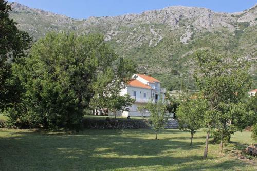 Apartment Mlini 8970c