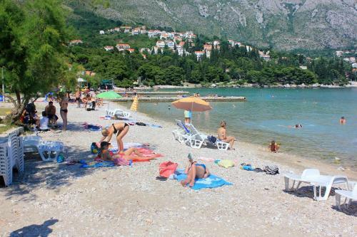 Luxury Villa With A Swimming Pool Cibaca (Dubrovnik) - 3474