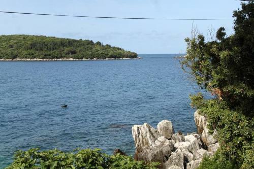 Apartments By The Sea Molunat (Dubrovnik) - 8956