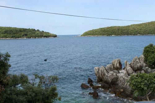 Apartments By The Sea Molunat (Dubrovnik) - 8956