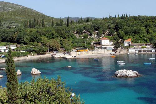 Apartments By The Sea Molunat (Dubrovnik) - 8956