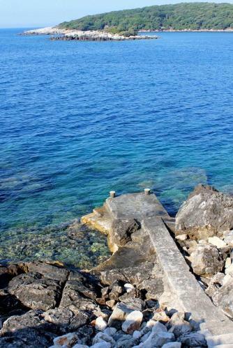 Apartamentos Studio Molunat 14613a