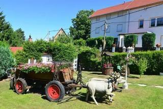 Hostal Pension Wansner
