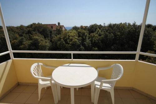 Apartment Petrcane 3288c