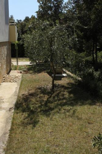 Apartment Petrcane 3288c