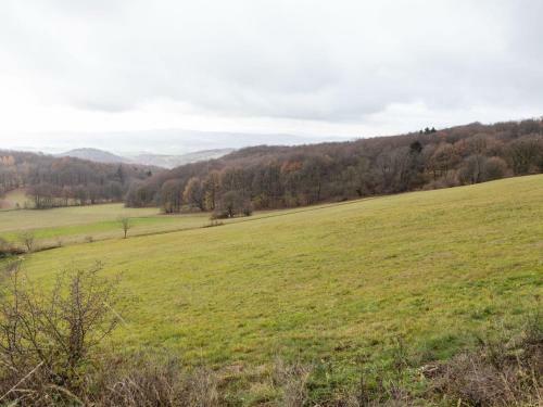 Quaint Holiday Home With Private Balcony In Trusetal