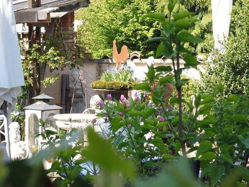 Hostal Villa Provence
