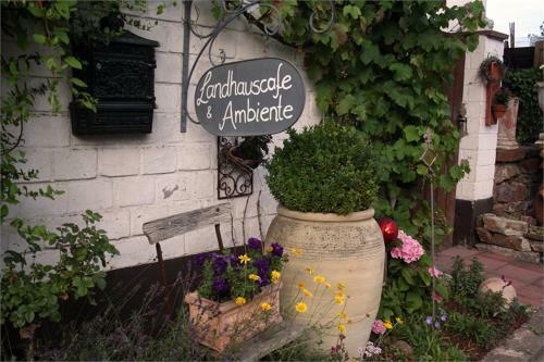Hostal Villa Provence