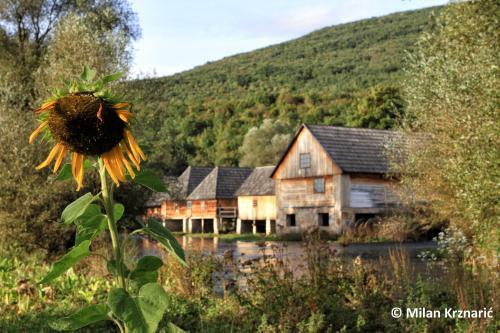 Hostal Apartment Sabina