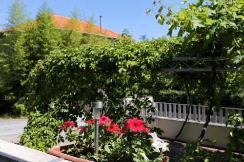 Apartments With A Parking Space Orebic (peljesac) - 4513