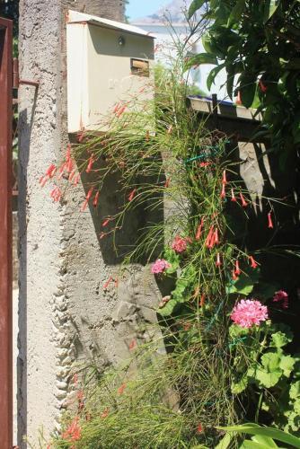 Apartment Orebic 4516c