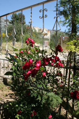 Apartments With A Parking Space Orebic (peljesac) - 4504