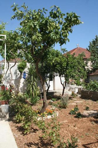 Apartments With A Parking Space Orebic (peljesac) - 4554