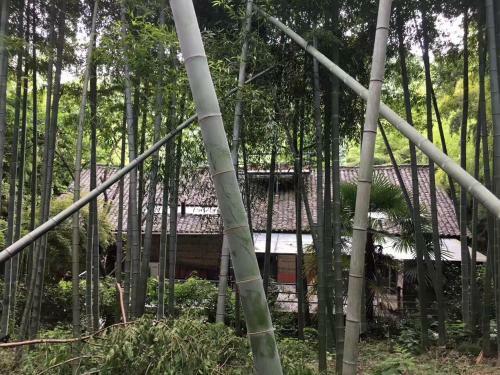 Prodigy Hostel Mogan Mountain