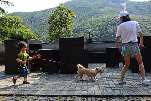 Prodigy Hostel Mogan Mountain
