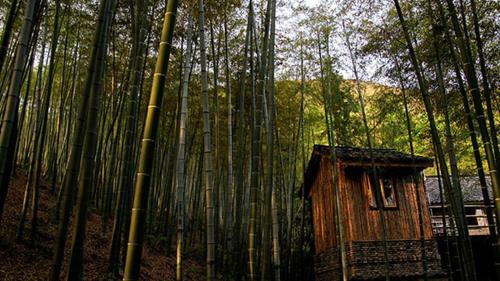Prodigy Hostel Mogan Mountain