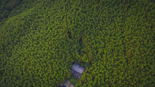 Prodigy Hostel Mogan Mountain
