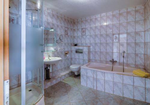Hostal Elbterrassen Zu Brambach