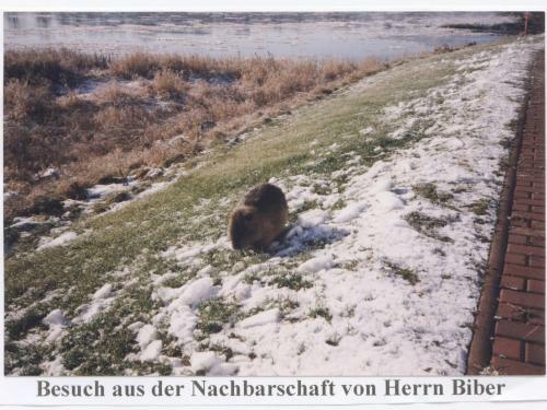 Hostal Elbterrassen Zu Brambach