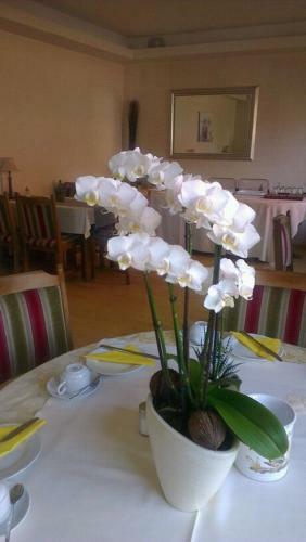 Hostal Hotel Refrather Hof