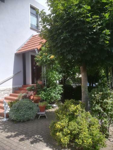 Hostal Hotel L�wenhof